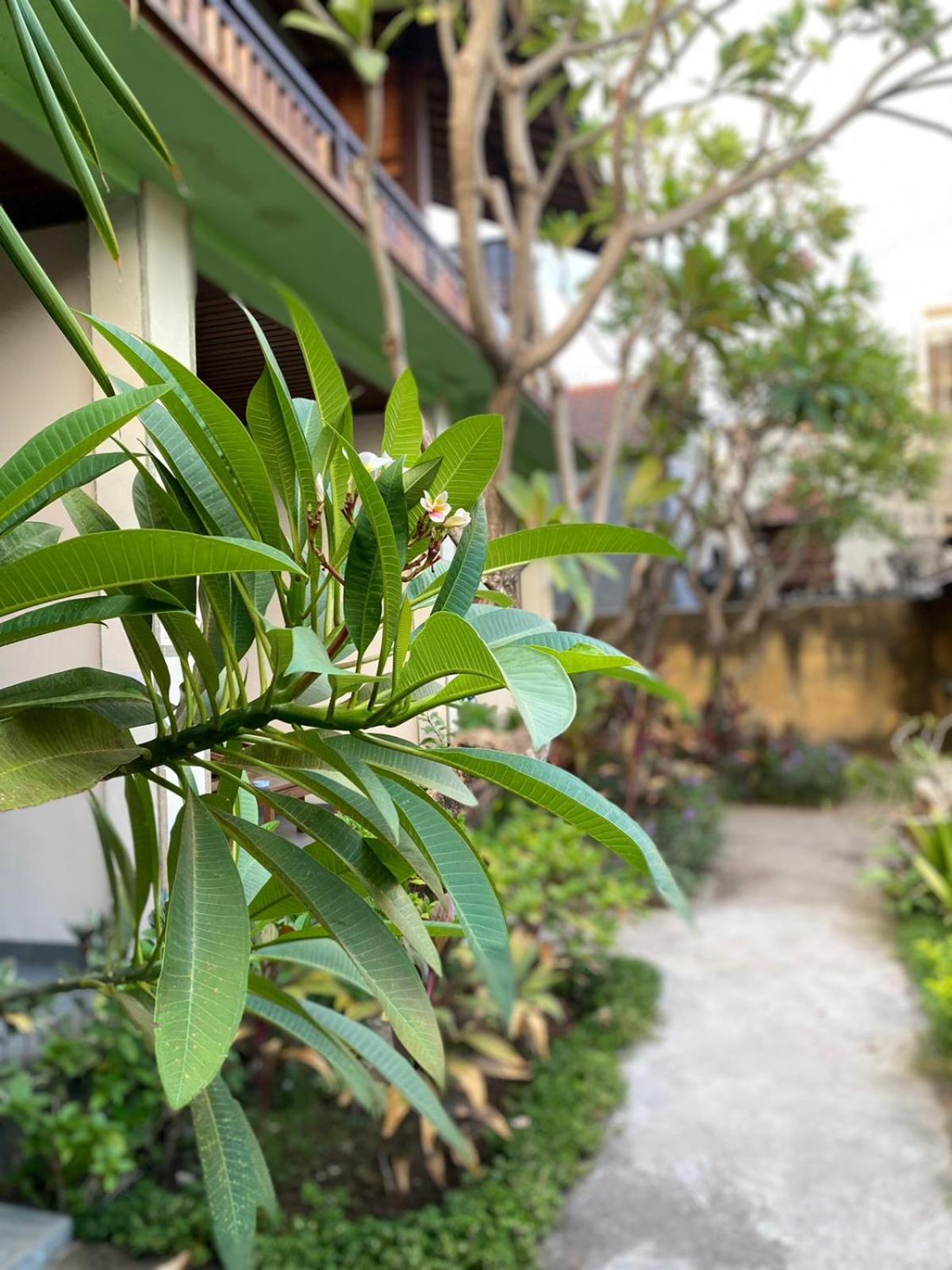 Putra'Lebah Amed Guest House 외부 사진